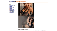 Desktop Screenshot of brasforlargebreasts.org